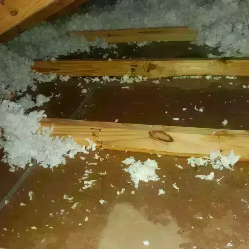 Attic Water Damage in La Harpe, IL